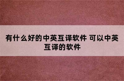 有什么好的中英互译软件 可以中英互译的软件